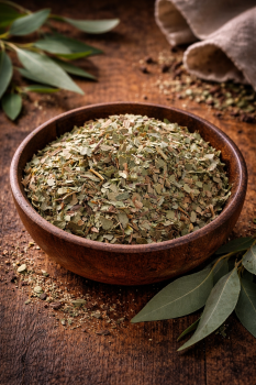 Eukalyptusblätter geschnitten